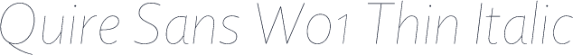 Quire Sans W01 Thin Italic