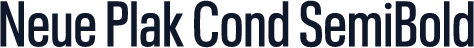 Neue Plak Cond SemiBold