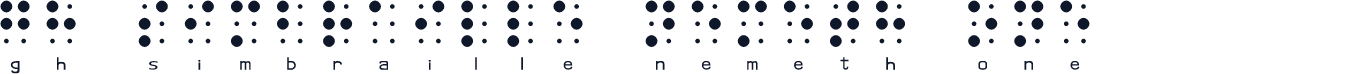 gh SimBraille Nemeth One