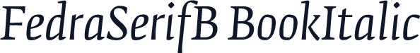 FedraSerifB BookItalic