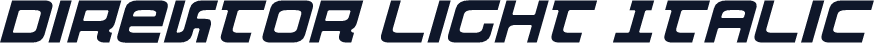 Direktor Light Italic