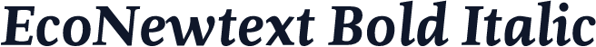 EcoNewtext Bold Italic