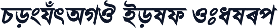 PoshurAMJ Bold Italic
