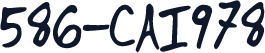 586-CAI978