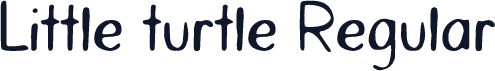 Little turtle Regular