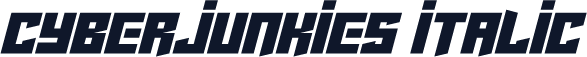 Cyberjunkies Italic