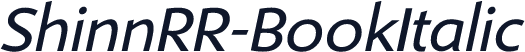 ShinnRR-BookItalic