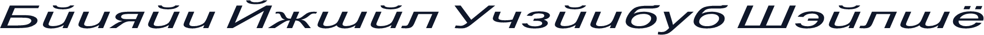 Danzan Arial Expanded Italic