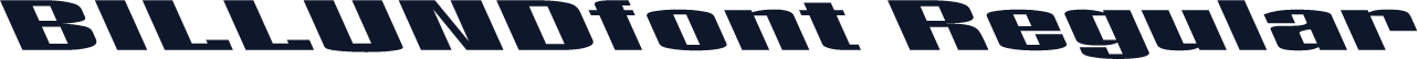BILLUNDfont Regular