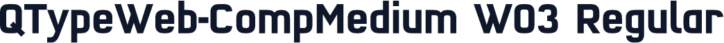 QTypeWeb-CompMedium W03 Regular
