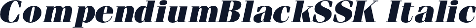 CompendiumBlackSSK Italic