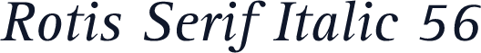 Rotis Serif Italic 56
