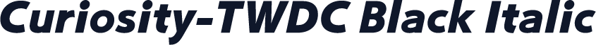 Curiosity-TWDC Black Italic