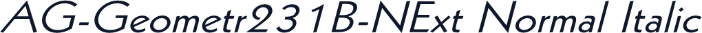 AG-Geometr231B-NExt Normal Italic