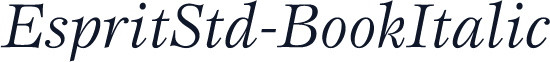 EspritStd-BookItalic