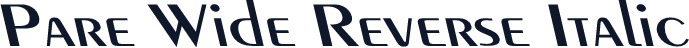 Pare Wide Reverse Italic