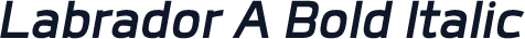 Labrador A Bold Italic