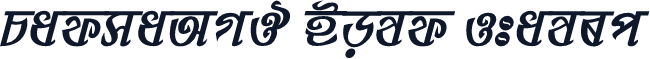 PadmaAMJ Bold Italic