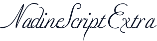 NadineScriptExtra