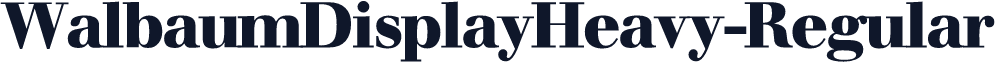WalbaumDisplayHeavy-Regular