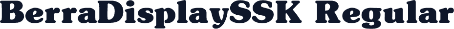 BerraDisplaySSK Regular