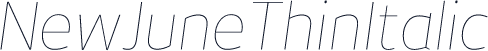 NewJuneThinItalic