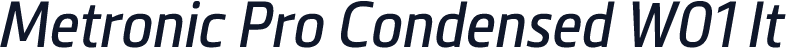 Metronic Pro Condensed W01 It