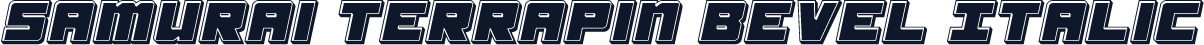 Samurai Terrapin Bevel Italic