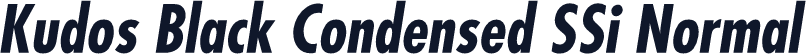 Kudos Black Condensed SSi Normal