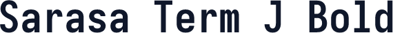 Sarasa Term J Bold