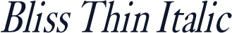 Bliss Thin Italic
