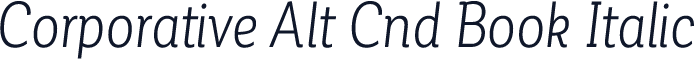 Corporative Alt Cnd Book Italic