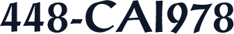 448-CAI978