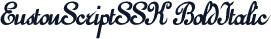 EustonScriptSSK BoldItalic