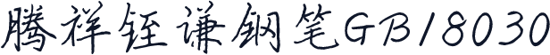 腾祥铚谦钢笔GB18030