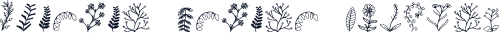 Herlora Floral Dingbat