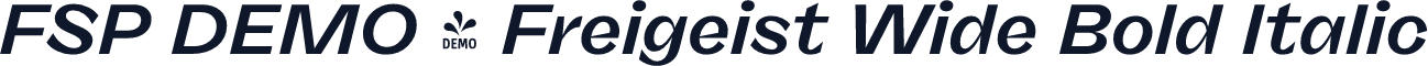 FSP DEMO - Freigeist Wide Bold Italic