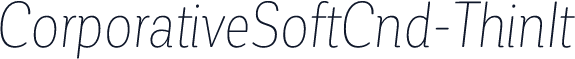 ☞CorporativeSoftCnd-ThinIt