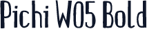 Pichi W05 Bold