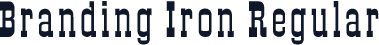 Branding Iron Regular