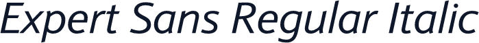 Expert Sans Regular Italic