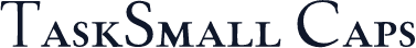 TaskSmall Caps