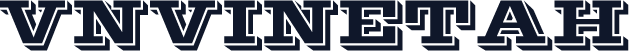 VNVinetaH