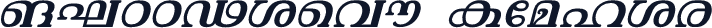 ML-TTVishu Italic