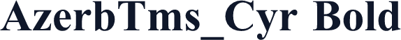 AzerbTms_Cyr Bold