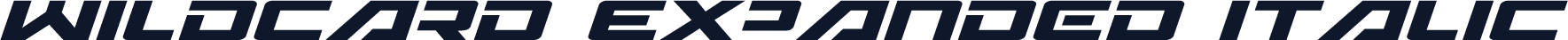 Wildcard Expanded Italic