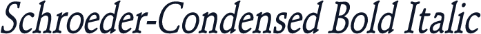 Schroeder-Condensed Bold Italic