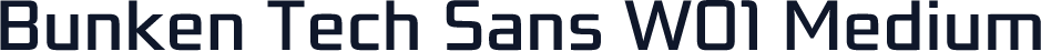 Bunken Tech Sans W01 Medium