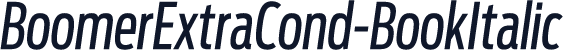 BoomerExtraCond-BookItalic