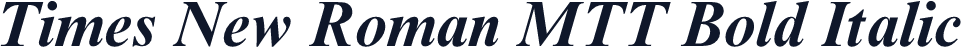 Times New Roman MTT Bold Italic